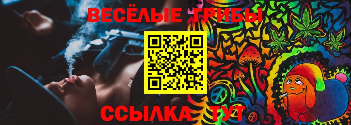 купить закладку  Псилоцибиновые грибы мицелий  Вход с VPN  Россия 